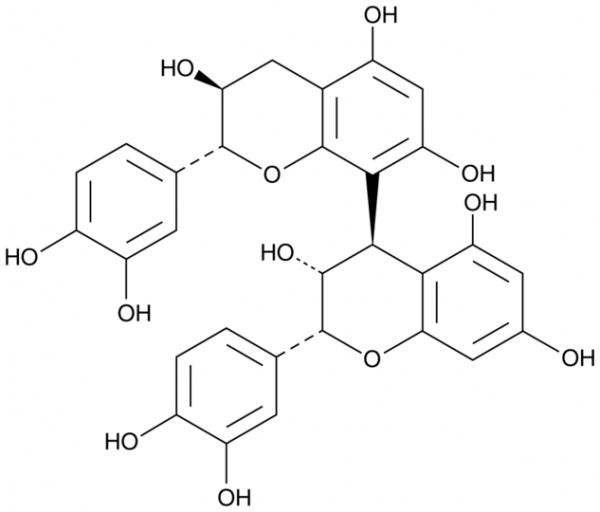 Procyanidin B1