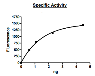 Cathepsin V, active human recombinant protein