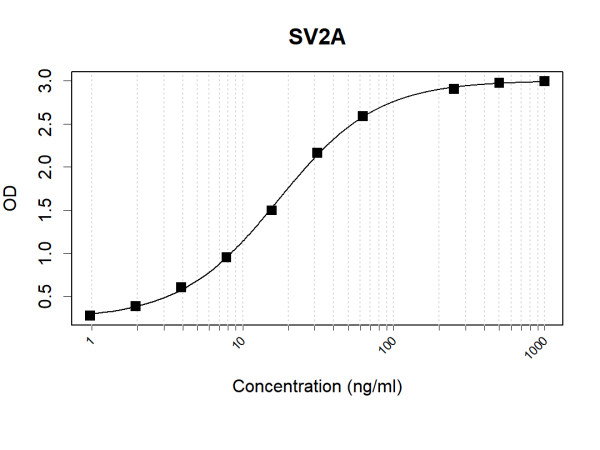 Anti-Human SV2A Antibody Pair
