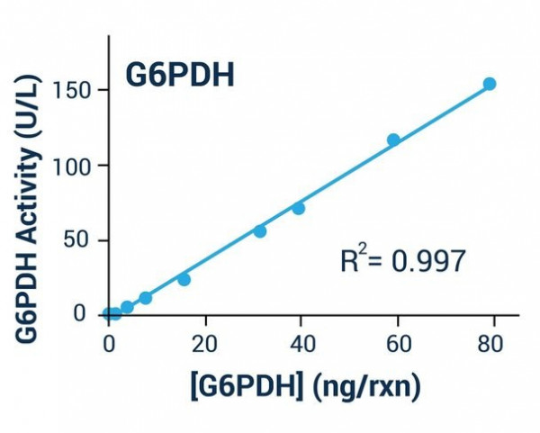 Glucose-6-Phosphate Dehydrogenase (G6PD) Assay Kit