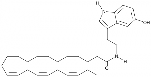 Docosahexaenoyl Serotonin