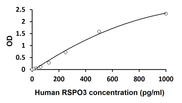 Human RSPO3 ELISA Kit