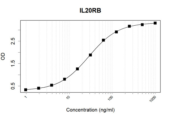 Anti-Human IL20RB Antibody Pair