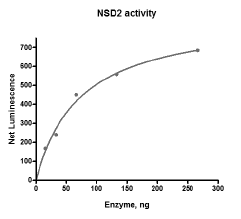 NSD2 (catalytic domain), active human recombinant protein