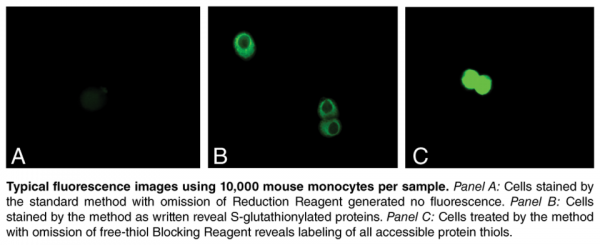 S-Glutathionylated Protein Detection Kit