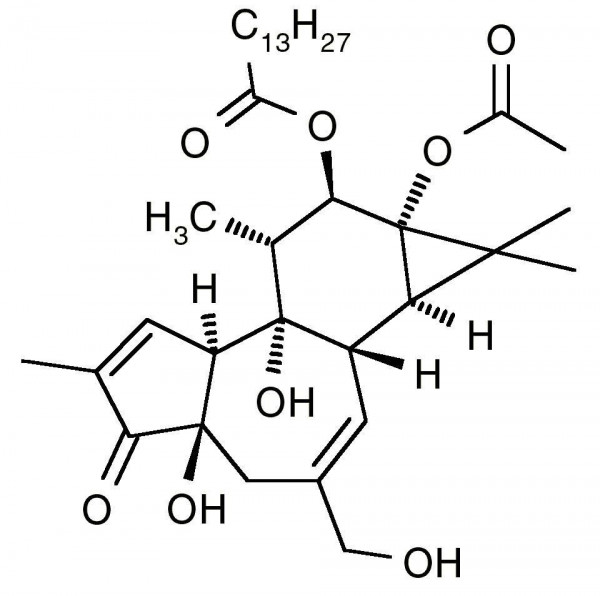 TPA (12-O-tetradecanoylphorbol-13-acetate, Tetradecanoyl Phorbol Acetate, Phorbol-12-Myristate-13-Ac