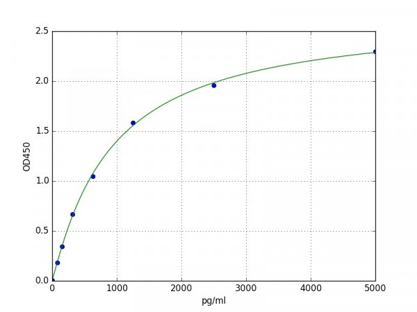 Human Cathepsin S / CTSS ELISA Kit