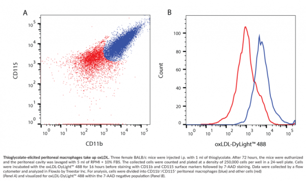 Oxidized LDL Uptake Assay Kit