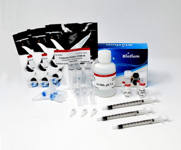 VivoBrite(TM) Rapid Antibody Labeling Kit for Small Animal In Vivo Imaging, CF(R)790 SE