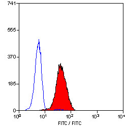Anti-Leukotriene B4 Receptor, clone 202/7B1
