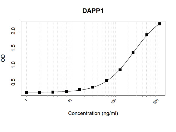 Anti-DAPP1