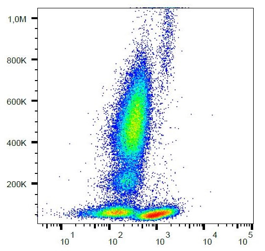 Anti-CD28, clone CD28.2 (PerCP)