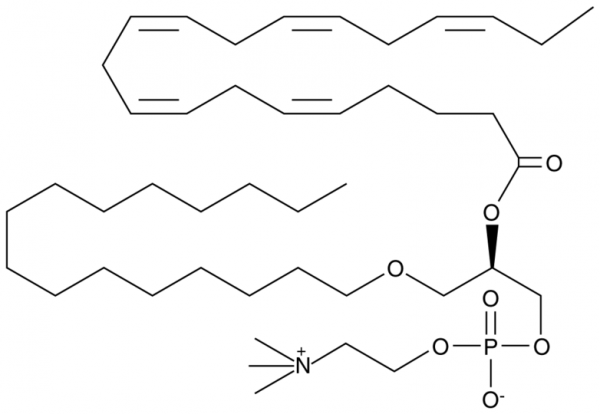 Eicosapentaenoyl PAF C-16