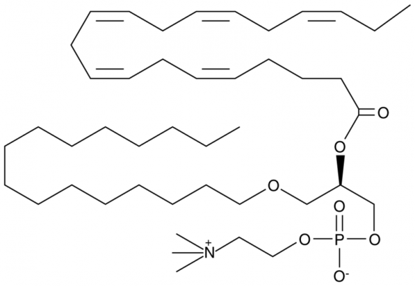 1-O-hexadecyl-2-Eicosapentaenoyl-sn-glycero-3-PC