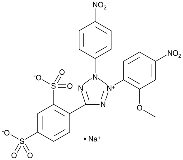 WST-8 | CAS 193149-74-5 | Cayman Chemical | Biomol.com