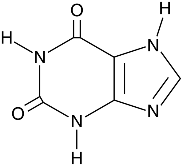 Xanthine