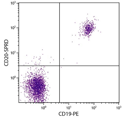 Anti-CD20 (Spectral Red), clone B-Ly1