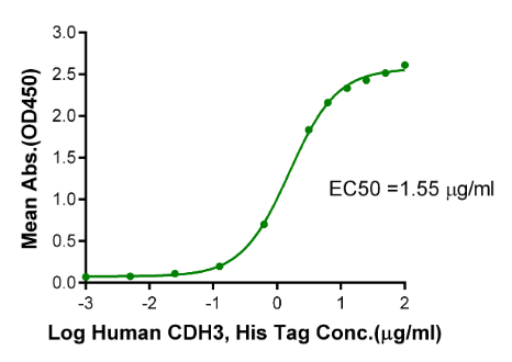CDH3/Cadherin 3, His, Human