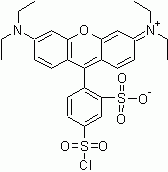 Lissamine Rhodamine B Sulfonyl Chloride (Sulforhodamine B sulfonyl chloride)