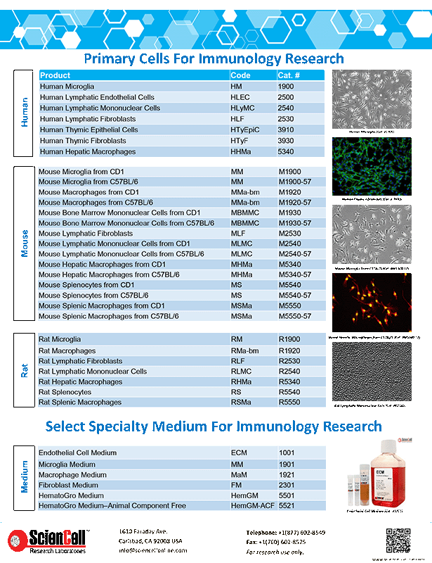 Primary Cells for Immunology Research
