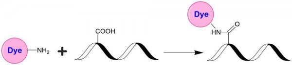 iFluor(TM) 647 amine