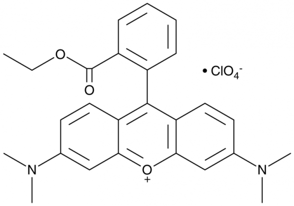Tetramethylrhodamine ethyl ester (perchlorate)