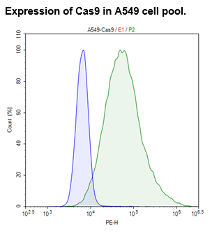 Cas9 Expressing A549 cell pool