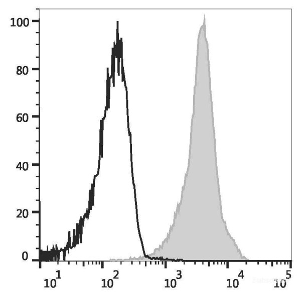 Anti-Rat CD45, Elab Fluor(R) Violet 450 conjugated, clone OX-1