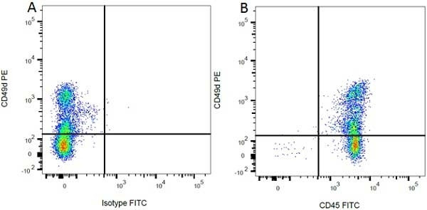 Anti-CD45 (FITC), clone OX-1