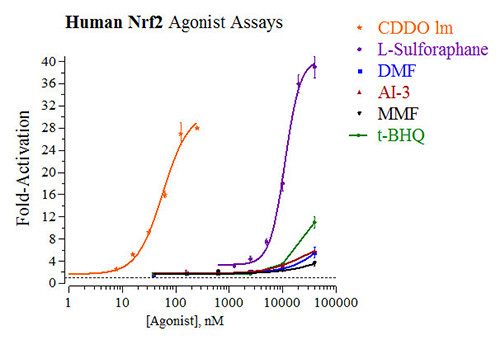 Nrf2 (Human) Reporter Assay System