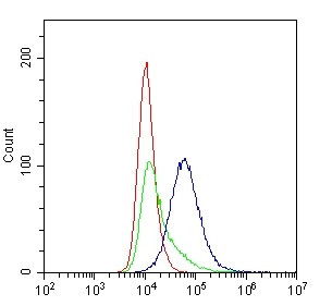 Anti-CD8 / CD8 alpha