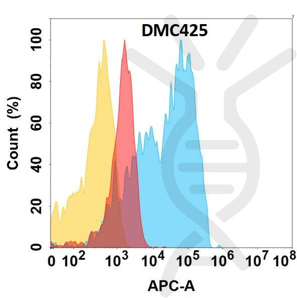 Anti-CD63 antibody(DMC425), IgG1 Chimeric mAb