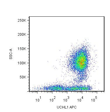 Anti-CD45R0, clone UCHL1 (APC)