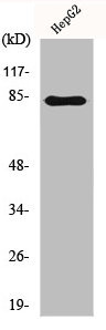 Anti-ADRBK2
