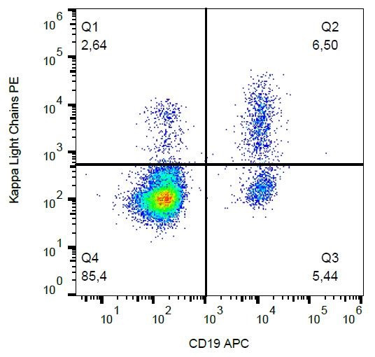 Anti-Kappa light chains, clone A8B5 (PE)