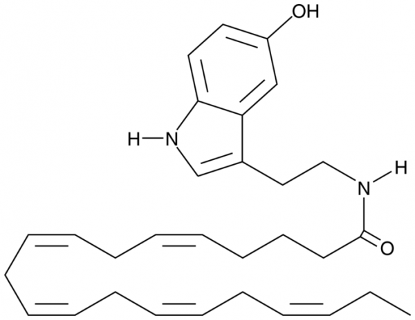 Eicosapentaenoyl Serotonin