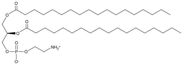 1,2-Distearoyl-sn-glycero-3-PE