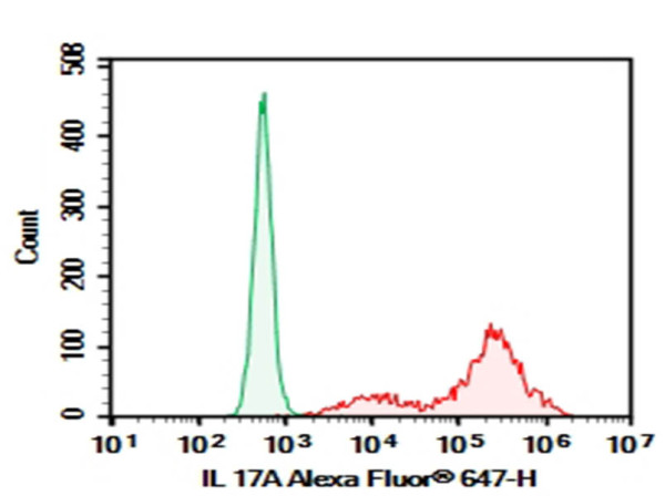 Purified Anti-Human IL-17 Antibody [BL168]
