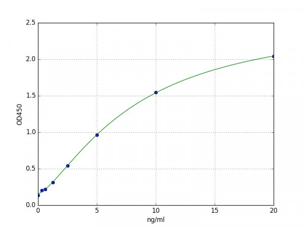 Human Regulatory-associated protein of mTOR ELISA Kit