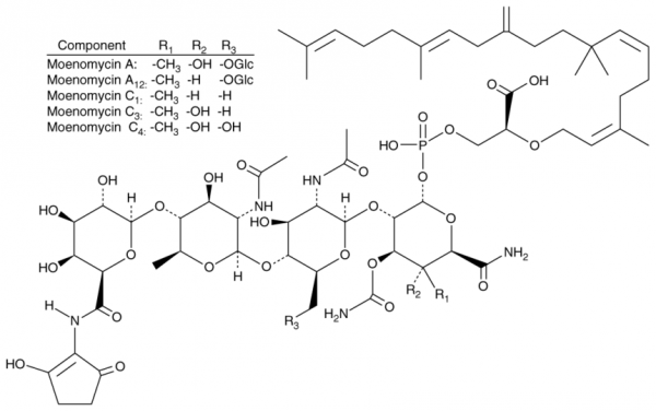 Moenomycin Complex