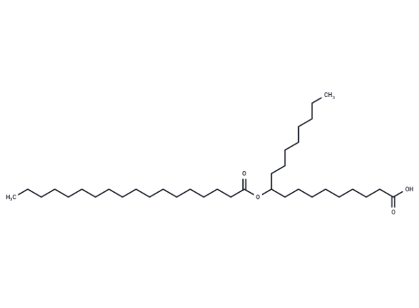10-SAHSA
