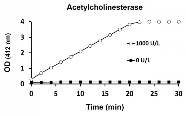 Acetylcholinesterase Activity Assay Kit (Colorimetric)