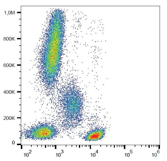 Anti-CD4, clone MEM-241 (PerCP)
