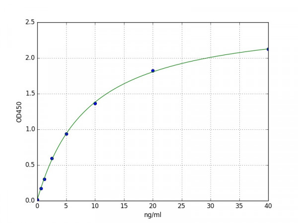Human Laminin subunit beta-2 / LAMB2 ELISA Kit