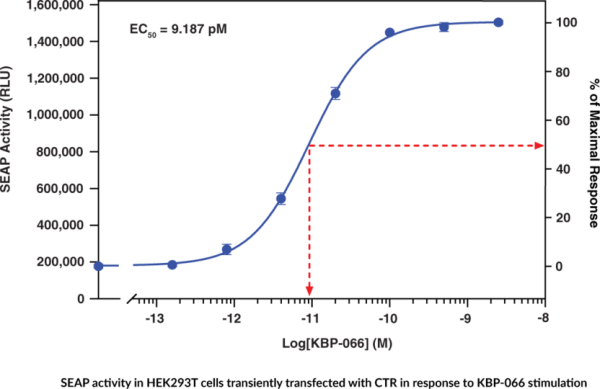 Calcitonin Receptor (human) Reporter Assay Kit