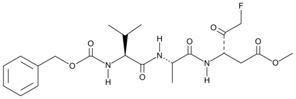 Z-VAD(OMe)-FMK