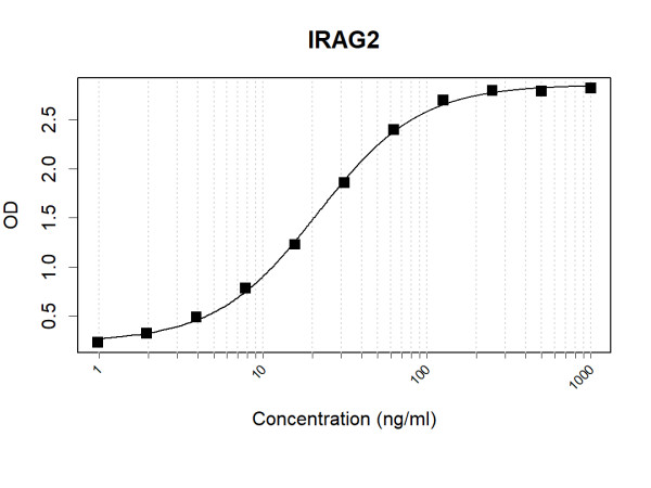 Anti-Human IRAG2 Antibody Pair