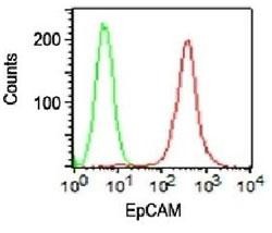 Anti-EpCAM / CD326, clone VU-1D9