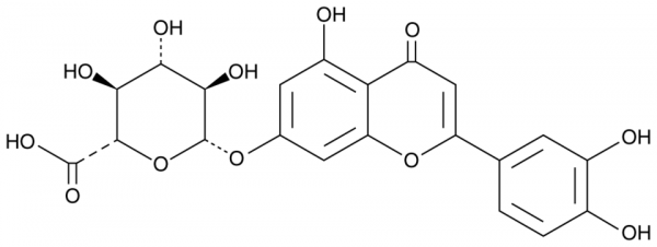 Luteolin 7-O-Glucuronide