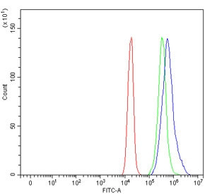 Anti-Cd204 / Msr1
